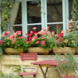 Table and chairs with pots France