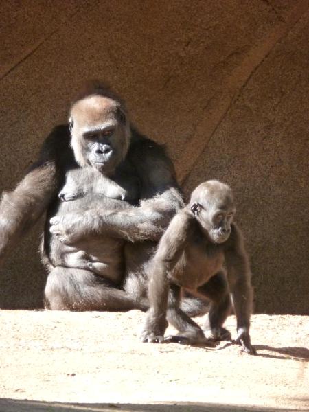 Mother and son