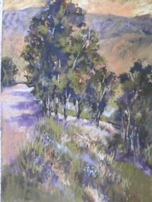 San Pasqual Valley  12x18