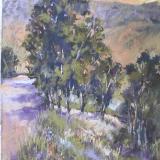 San Pasqual Valley  12x18