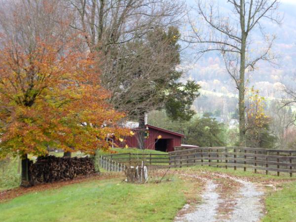 A Tennessee Farm