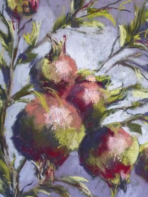 Pomegranate 1  9x12