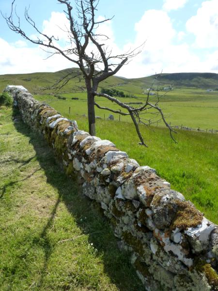 Stone Wall