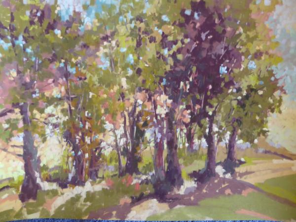 Kit Carson plein air 16x12