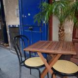 Blue door with palm tree Paris 