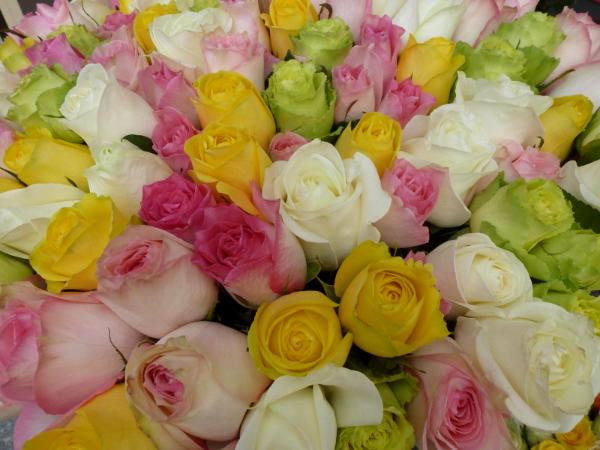 Roses at market in Paris