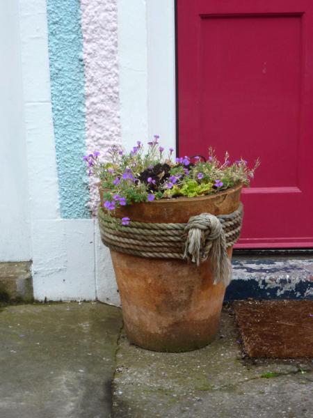 Pink Door Gardentown Scotland