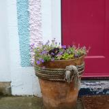 Pink Door Gardentown Scotland