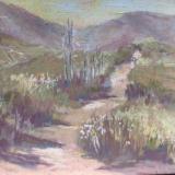 San Pasqual Valley 9x12