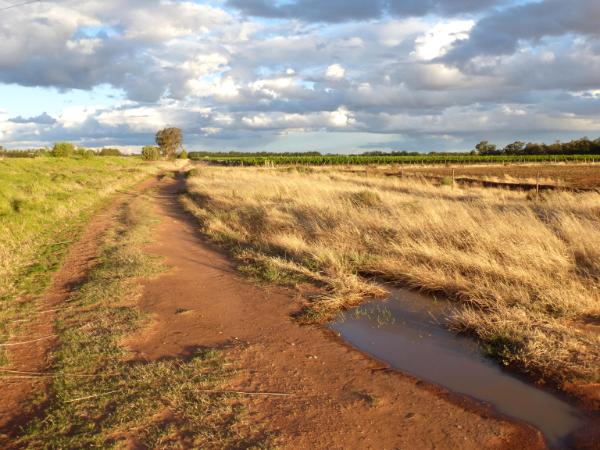 The farm road