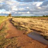 The farm road