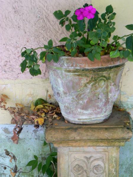 Pot on Stand France