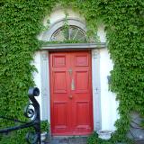 Ivy with red door Ireland