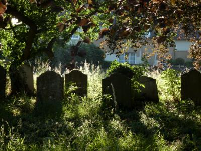 Morning light on tombstones