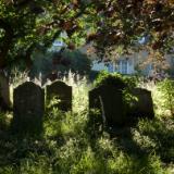 Morning light on tombstones