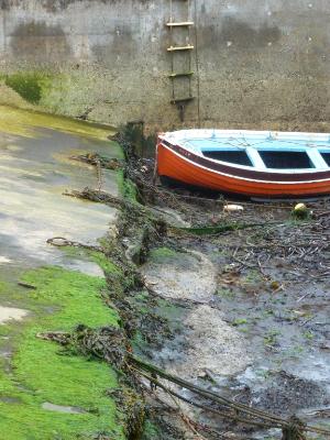 Gardentown Harbor Scotland