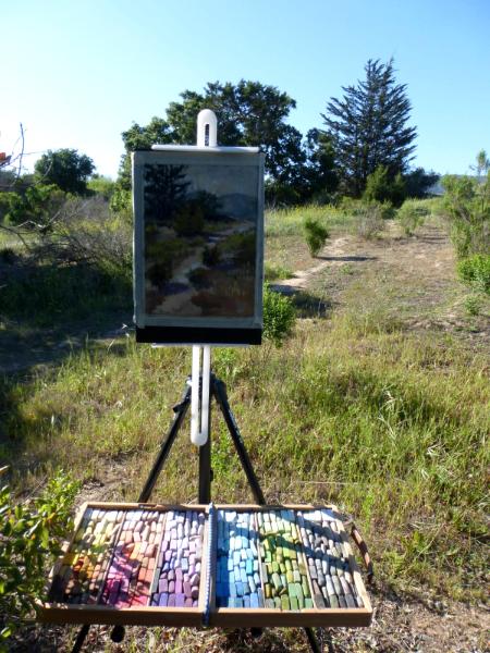 My first plein air pastel painting