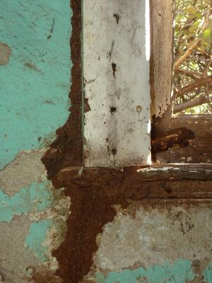 Old window Australia