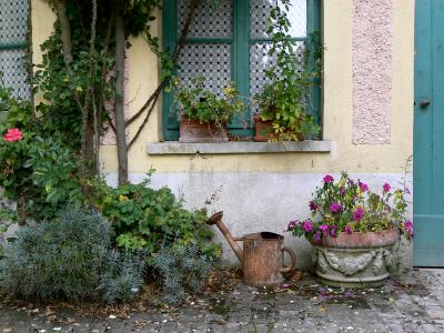 Wall in Giverny