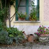 Wall in Giverny