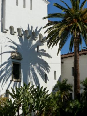Santa Barbara palm tree shadow