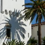 Santa Barbara palm tree shadow