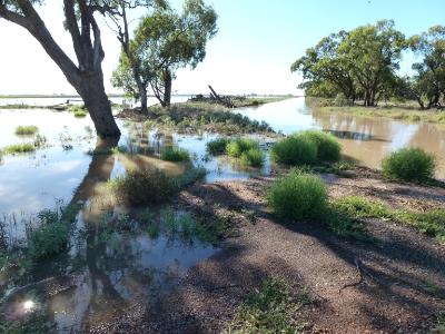 Floods Australia