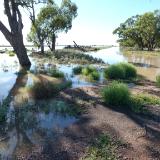 Floods Australia