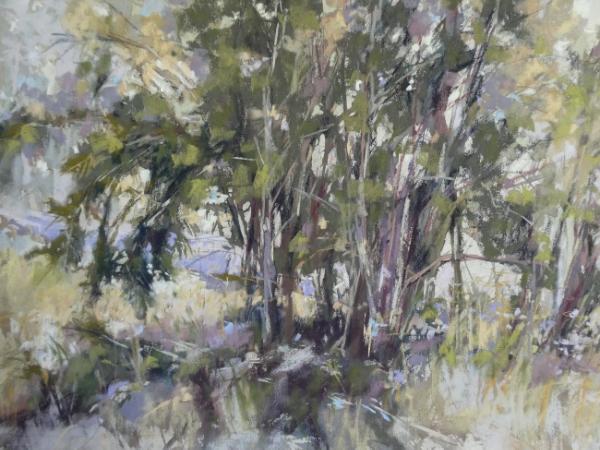 Today's Plein Air Trees