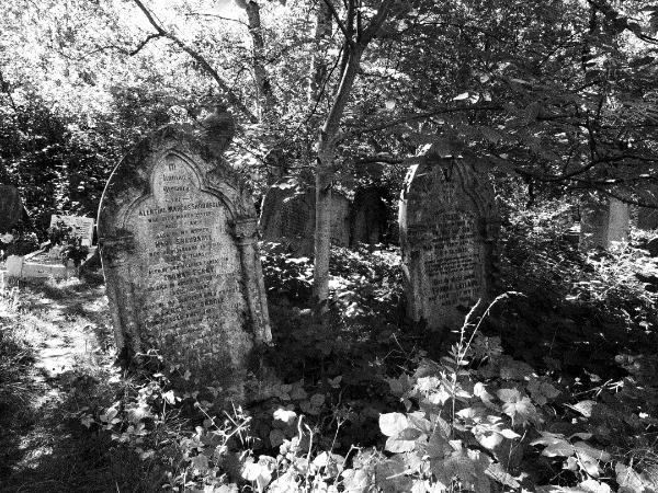 Abney Park London black & white