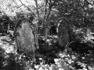 Abney Park London black & white