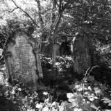 Abney Park London black & white