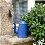 Blue pot on window France