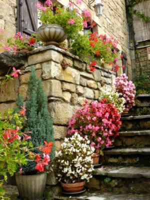 Pots on Steps France