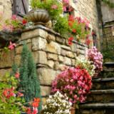 Pots on Steps France