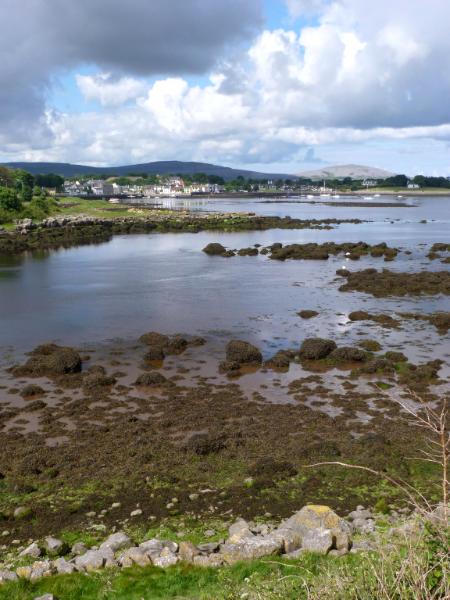 Landscape Ireland