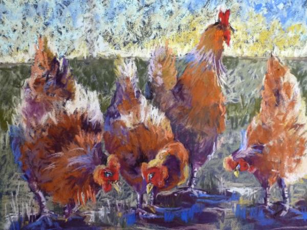 Four Chickens