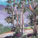 San Pasqual Valley 9x12