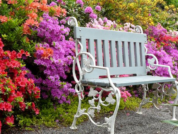 Garden Bench Prague