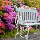 Garden Bench Prague