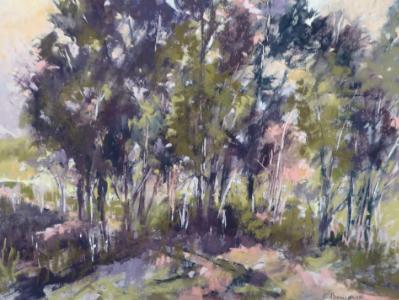 San Pasqual Trees plein air 16x12