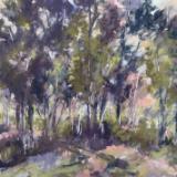 San Pasqual Trees plein air 16x12