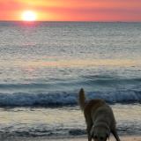 Henley Beach sunset