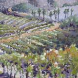 Vineyard Vista plein air 9x12