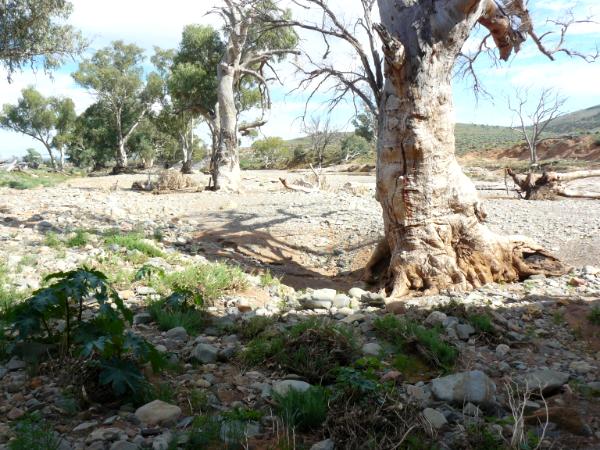 Dry river bed Australia