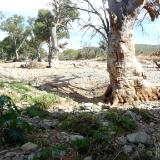 Dry river bed Australia