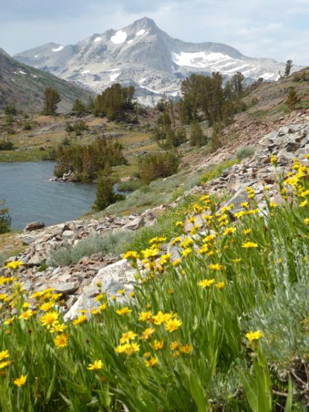 Saddlebag Lake Ca