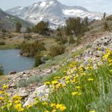 Saddlebag Lake Ca