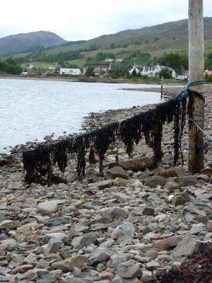 Lochcarron Scotland