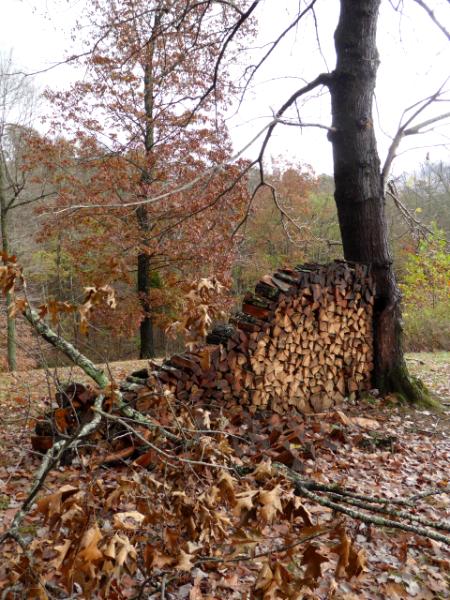 The Wood Pile